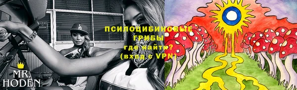 спиды Балахна