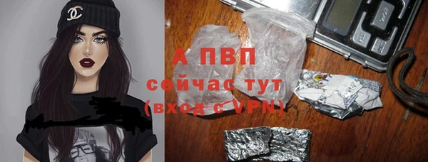 соль курить ск Ладушкин