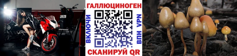 наркошоп  Бирск  Псилоцибиновые грибы прущие грибы 