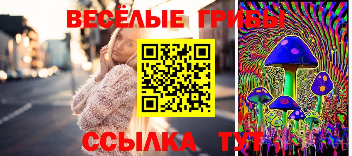 цены наркотик  Вход с VPN  Бирск  Галлюциногенные грибы Cubensis 