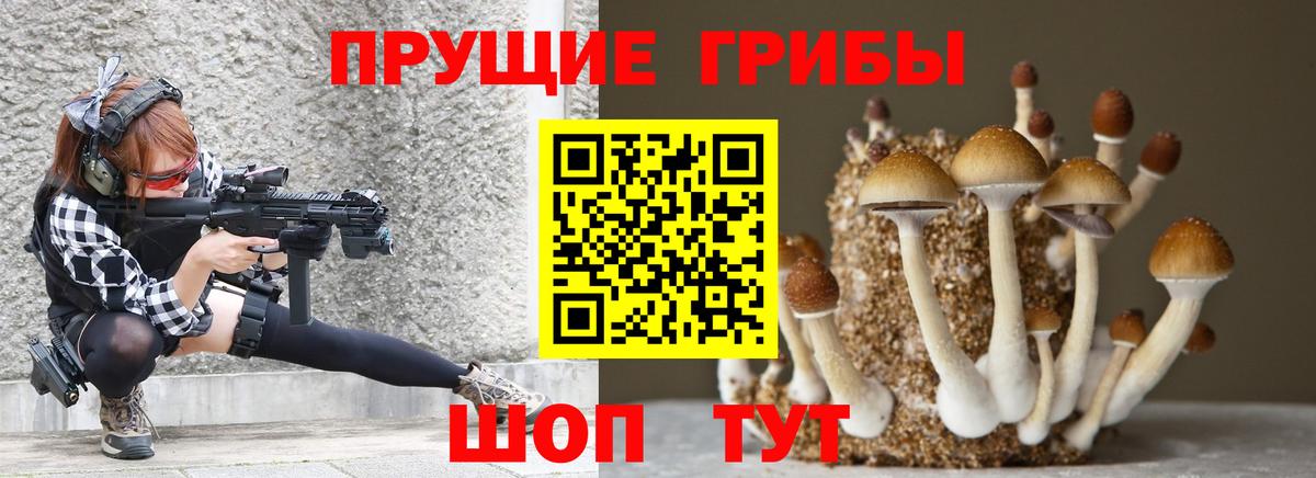 Псилоцибиновые грибы MAGIC MUSHROOMS  Бирск  продажа наркотиков  Псилоцибиновые грибы Psilocybine cubensis 