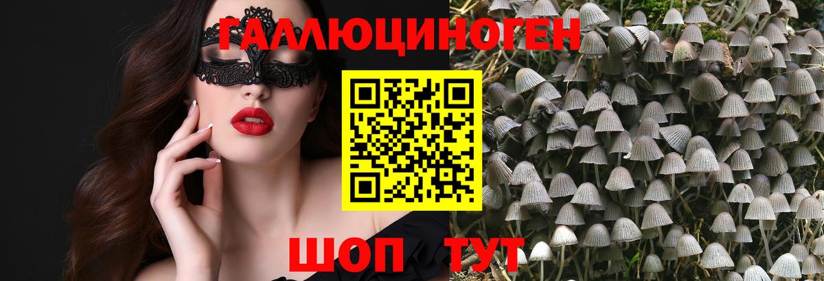 Псилоцибиновые грибы GOLDEN TEACHER Бирск